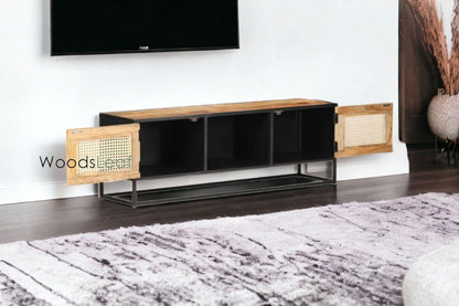 Alejandra Entertainment Unit